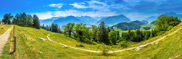 Vierwaldstattersee とピラトゥス山 スイス ヨーロッパの眺めと Burgenstock 近くのスイス アルプス — ストック写真