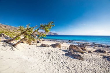 Kedrodasos plaj Elafonissi beach azure ile Crete adada yakınındaki temiz su, Yunanistan, Avrupa. En büyük ve en kalabalık Yunan adalarından Crete olduğunu. 