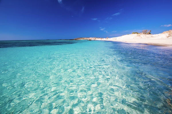 Praia Elafonissi Ilha Creta Com Águas Límpidas Azuis Grécia Europa — Fotografia de Stock