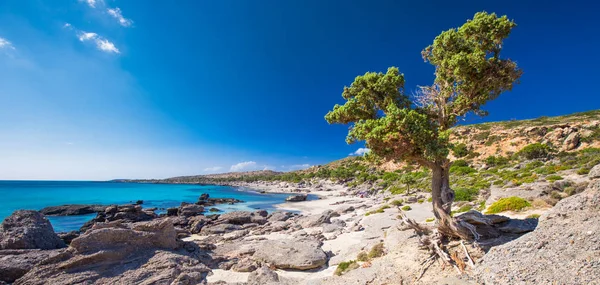 Praia Kedrodasos Perto Praia Elafonissi Ilha Creta Com Águas Límpidas — Fotografia de Stock
