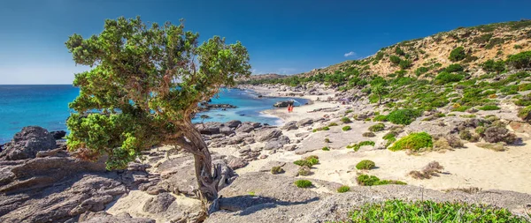 Kedrodasos Strand Der Nähe Elafonissi Strand Auf Betoninsel Mit Azurklarem — Stockfoto
