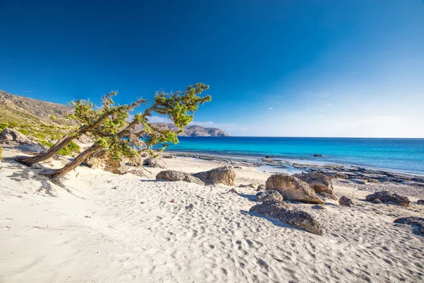 Пляж Кедрос Рядом Пляжем Элафисси Острове Крит Лазурной Чистой Водой — стоковое фото