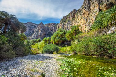 Preveli plaj azure ile Crete adada temiz su, Yunanistan, Avrupa. En büyük ve en kalabalık Yunan adalarından Crete olduğunu. 