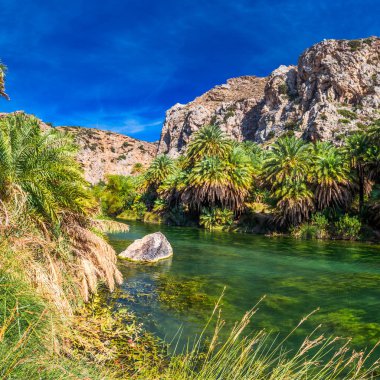 Preveli beach, Girit, Yunanistan, Avrupa konusunda orman palmiye. En büyük ve en kalabalık Yunan adalarından Crete olduğunu. 