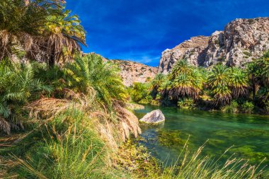 Preveli beach, Girit, Yunanistan, Avrupa konusunda orman palmiye. En büyük ve en kalabalık Yunan adalarından Crete olduğunu. 