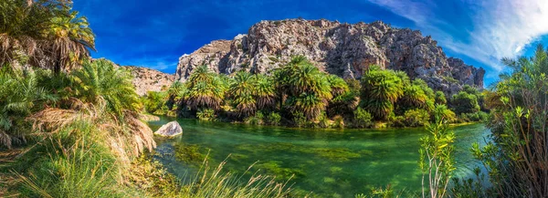 Пальмовый Лес Пляже Превели Крит Греция Европа Крит Является Крупнейшим — стоковое фото