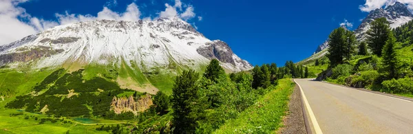 Karla Kaplı Kayaların Yemyeşil Arazinin Yanından Geçen Yol Sviçre — Stok fotoğraf
