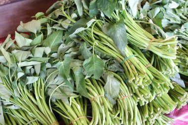 Sebze ve meyve, Balık Pazarı Morotai Adası, Endonezya