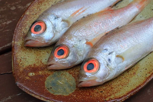 Rosy Seabass Doederleinia Berycoides Jepang — Stok Foto