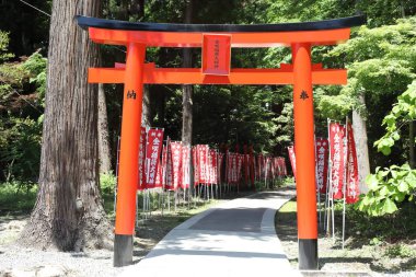 Taga shirine in Shiga Prefecture, Japonya