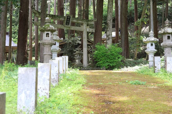 Yokoyama Shirine Shiga Prefecture Japan — Stockfoto