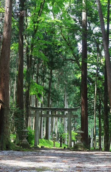 Yokoyama Shirine Shiga Prefecture Japan — Stockfoto