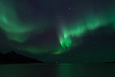 Kuzey Norveç (Grotfjord), dağ Aurora Borealis şaşırtıcı bir