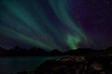 Şaşırtıcı Aurora Borealis Kuzey Norveç (Kvaloya), dağ ve deniz içinde belgili tanımlık geçmiş