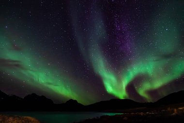 Şaşırtıcı Aurora Borealis Kuzey Norveç (Kvaloya), dağ ve deniz içinde belgili tanımlık geçmiş