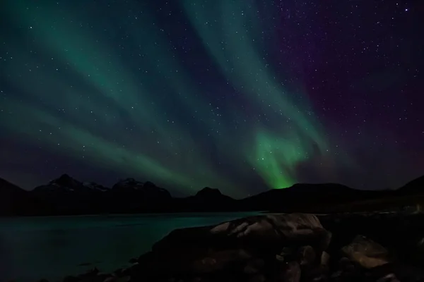 Úžasné Polární Záře Severním Norsku Kvaloya Hory Moře Pozadí — Stock fotografie