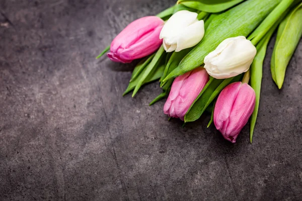 Tulipani Rosa Bianchi Sfondo Scuro Immagini Stock Royalty Free