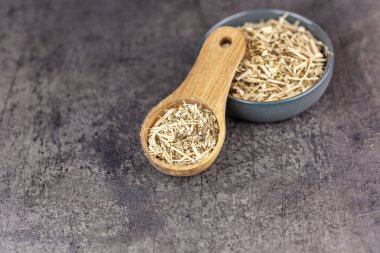 Sibirya ginseng koyu arka plan - tıp alternatif üzerinde kurutulmuş kök