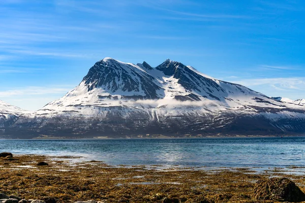 Vackra Berg Kvaloya Troms Nordnorge — Stockfoto