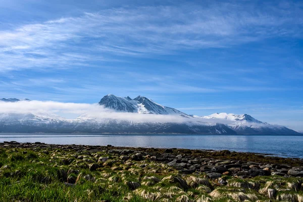 Vackra Berg Kvaloya Troms Nordnorge — Stockfoto