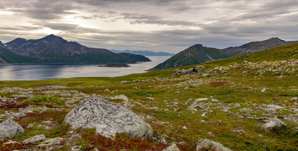 Vacker Utsikt Från Pick Mountain Brosmetinden Troms Nordnorge — Stockfoto