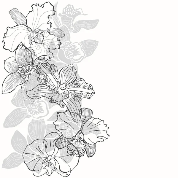 Florale Achtergrond Met Orchideeën Witte Achtergrond — Stockvector