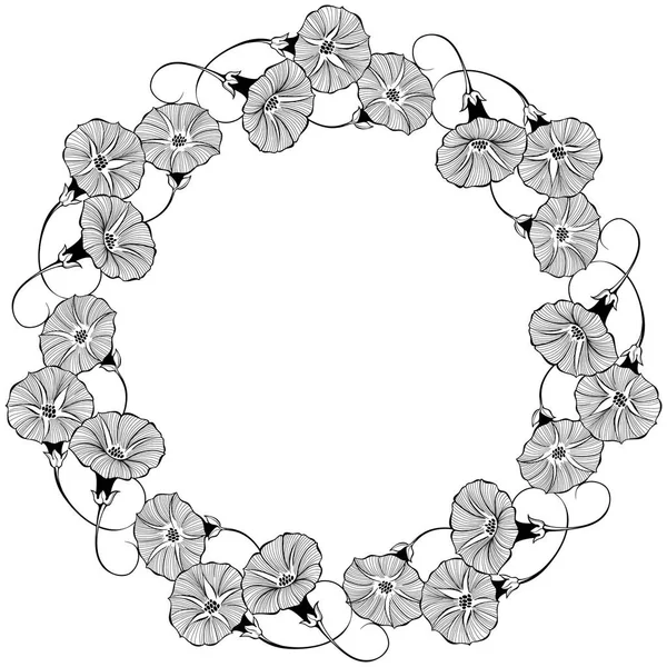 Beyaz arka plan üzerinde gündüzsefası çiçekli çerçeve çiçek tasarım