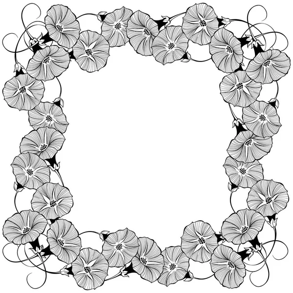 Diseño Marco Floral Con Flores Bindweed Sobre Fondo Blanco — Archivo Imágenes Vectoriales