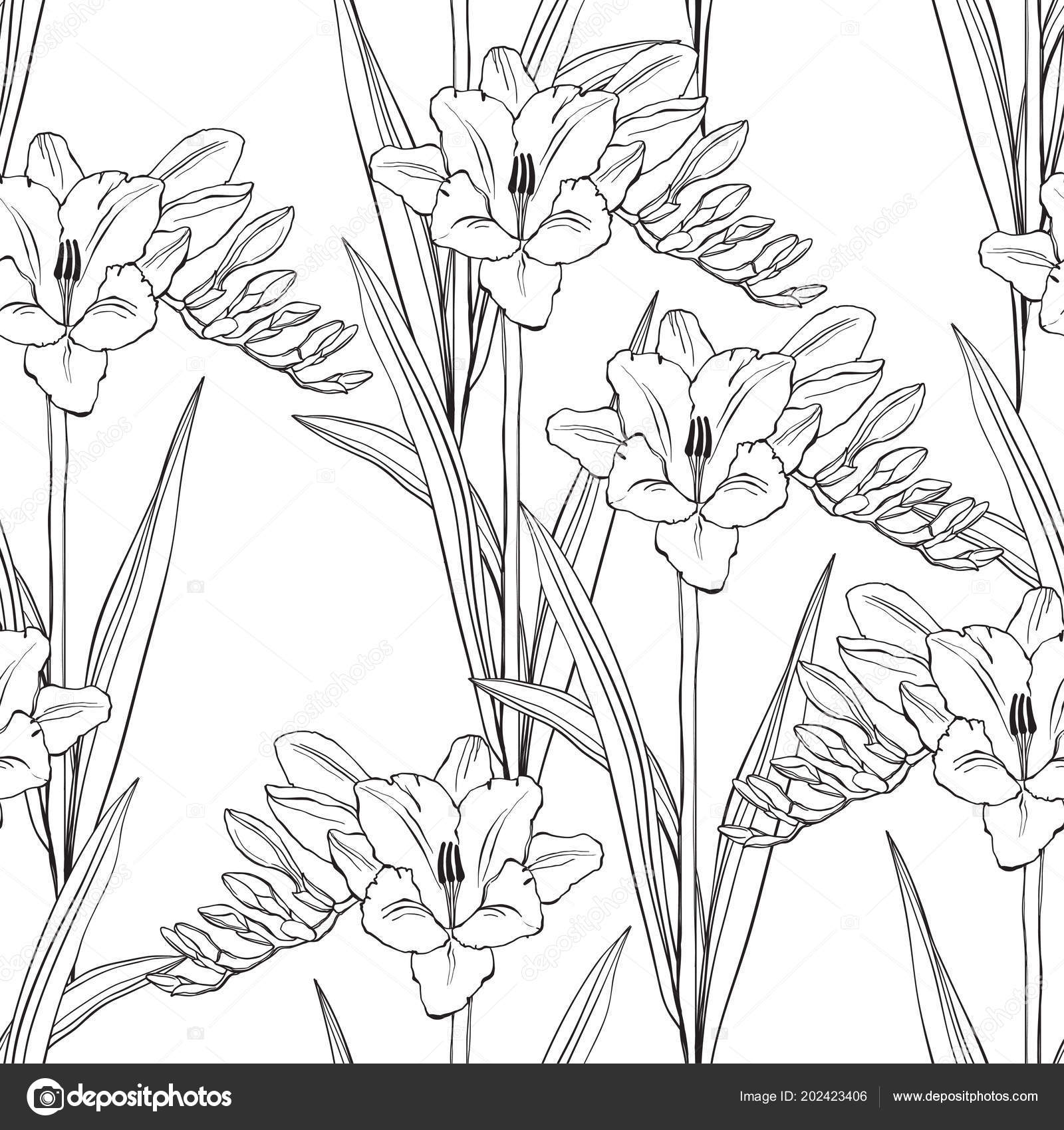 Seamless Background Hand Drawn Freesia Flowers — Stock