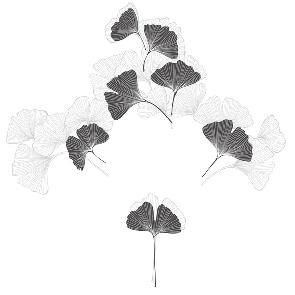 Blommönster Med Ginkgo Biloba Vit Bakgrund Vektorillustration — Stock vektor