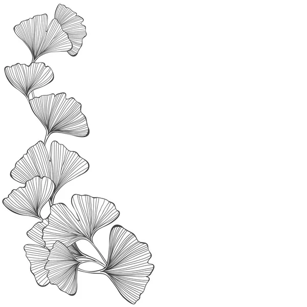 Fondo Floral Con Ginkgo Biloba Sobre Fondo Blanco Ilustración Vectorial — Archivo Imágenes Vectoriales