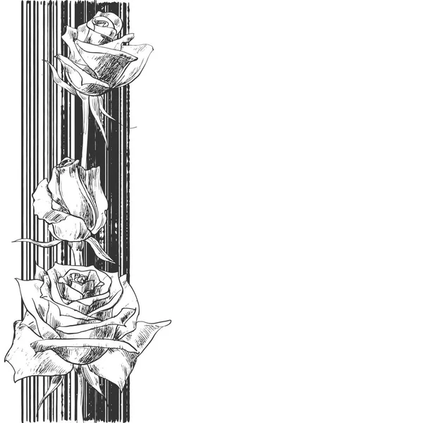Desenho Floral Com Rosas Sobre Fundo Branco Vetor Preto Branco — Vetor de Stock