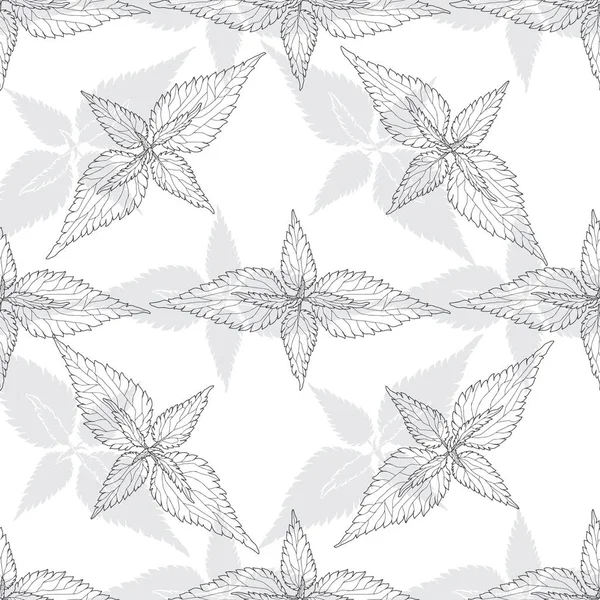 白色背景上有荨麻叶的单色花卉图案 — 图库矢量图片