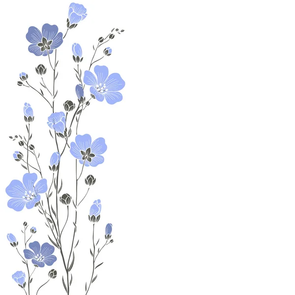 Flax flowers on a white background with place for text.