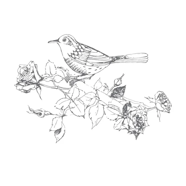 Çiçekli Dal Gül Kuş — Stok Vektör
