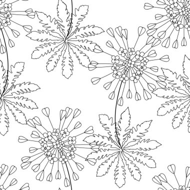 Capsella çiçekler, çoban çantalar. Beyaz arka plan üzerinde izole çizilmiş tasarım