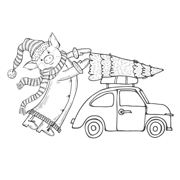 サンタ クロース衣装 クリスマス ツリーが付いている車の甘い小さな豚 — ストックベクタ