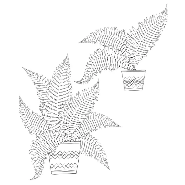 蕨类植物在锅在白色背景 — 图库矢量图片