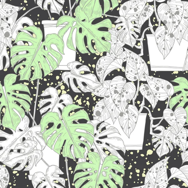 Modèle Sans Couture Avec Scindapsus Aureus Eagler Monstera — Image vectorielle