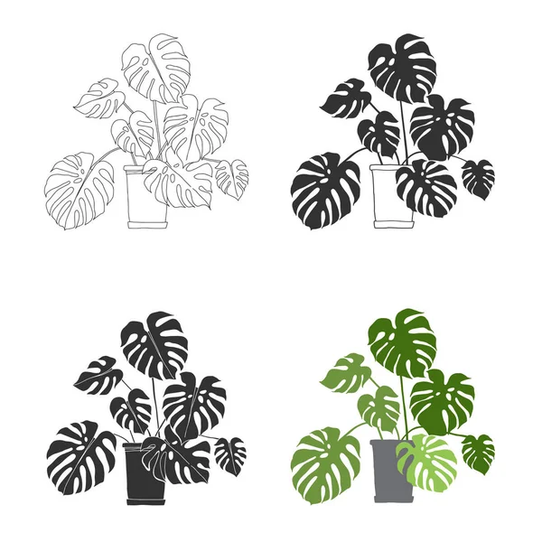 Set Monstera Ghivece Fundal Alb — Vector de stoc