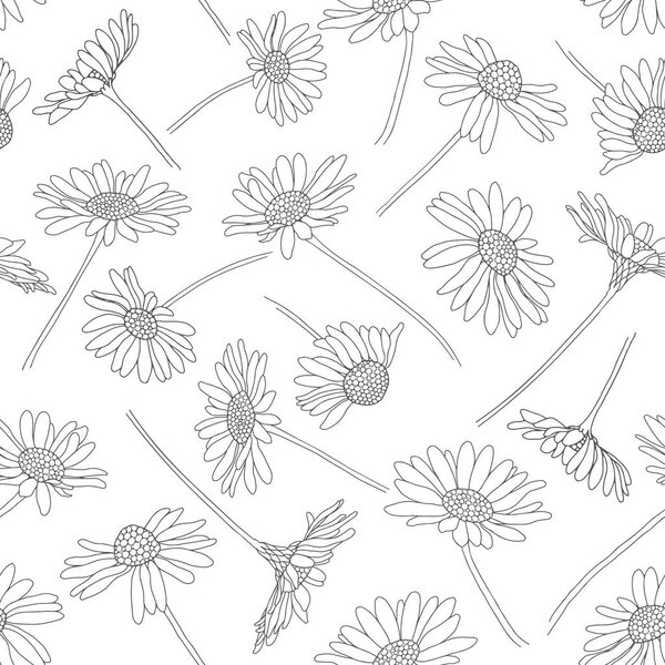 Seamless pattern with daisy flowers. Monochrome vector 