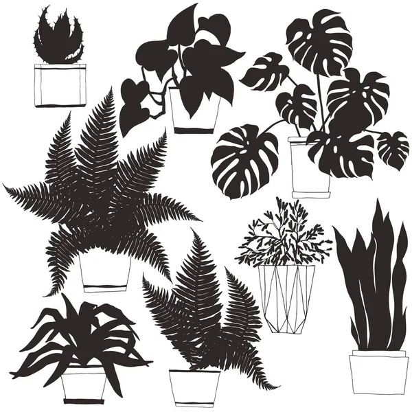 Kamerplanten Pot Vector Handgetekende Illustratie Geïsoleerde — Stockvector