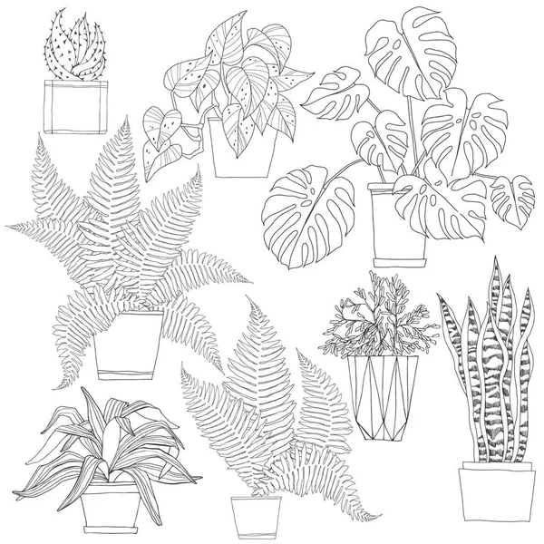 Kamerplanten Pot Vector Handgetekende Illustratie Geïsoleerde — Stockvector