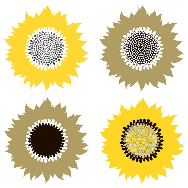 Conjunto Girasoles Dibujados Mano Aislados Sobre Fondo Blanco — Vector de stock