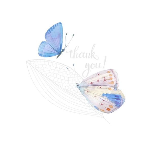 Thank you! Hand-drawn illustration with watercolor butterflies