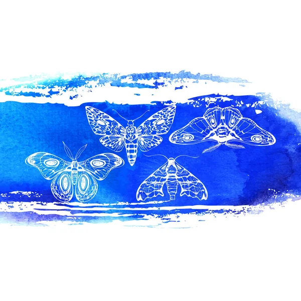 Fundo Com Borboletas Noturnas Elementos Aquarela Azul —  Vetores de Stock