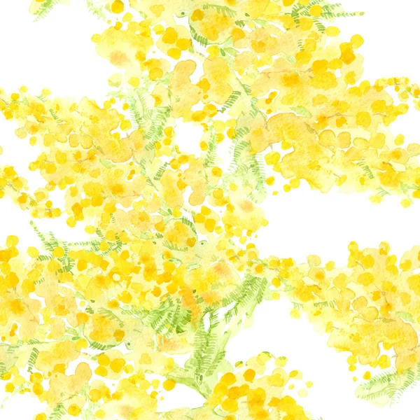 Nahtloses Muster Mit Aquarellzweigen Von Mimosen Handgezeichnete Aquarell Illustration — Stockfoto
