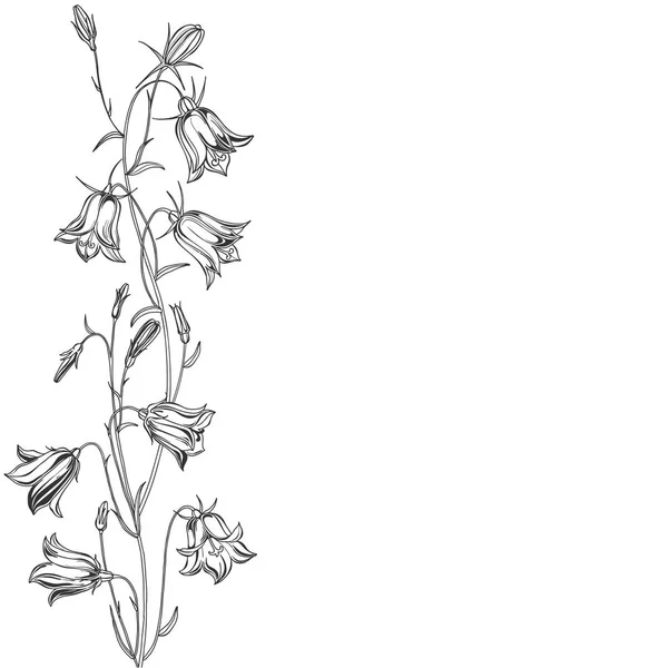 Vektor Illustration Von Blumen Blauglocken Design Element Einladung Grußkarte — Stockvektor