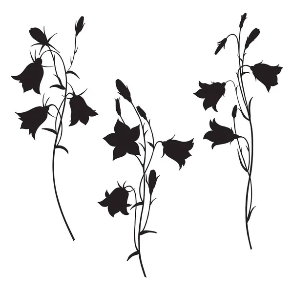 Bluebell Flowers Vector Illustration — Stock Vector