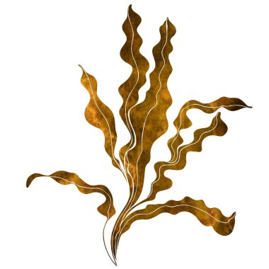 Deniz yosunları. Suluboya illüstrasyon, yalıtılmış elemanlar.